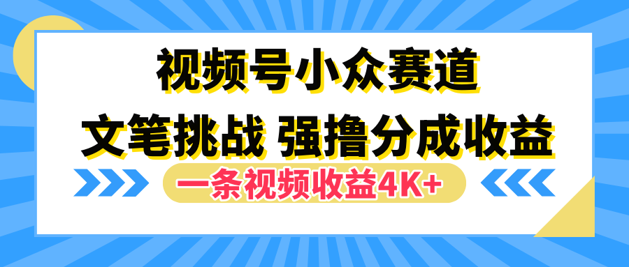 视频号小众赛道，文笔挑战，一条视频收益4K+-春生副业网 