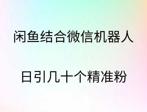 闲鱼结合微信机器人，日引几十个精准粉-春生副业网 