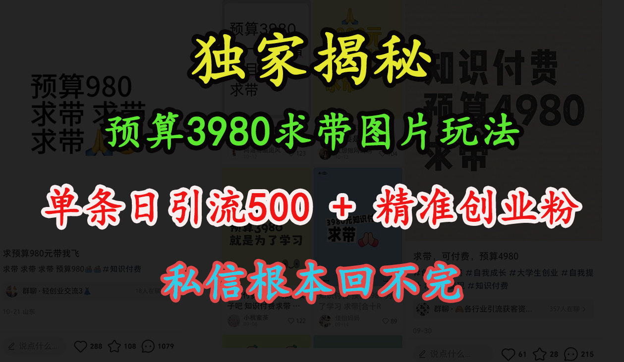 “小红书”预算3980求带 图片玩法，单条日引流500+精准创业粉，私信根本回不完-春生副业网 