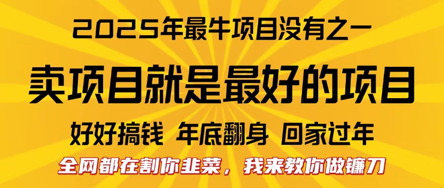 全网都在割你韭菜，我来教你做镰刀。卖项目就是最好的项目，2025年最牛互联网项目-春生副业网 