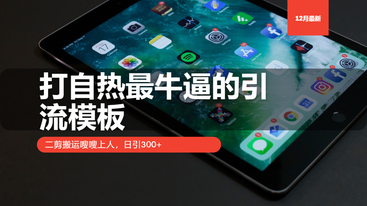 打自热最牛逼的引流模板，日引300+，二剪搬运嗖嗖上人-春生副业网 