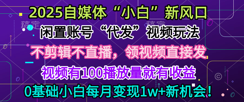 2025每月躺赚5w+新机会，闲置视频账号一键代发玩法，0粉不实名不剪辑，领了视频直接发，0基础小白也能日入300+-春生副业网 