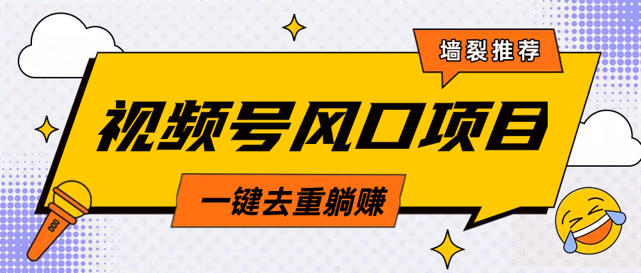 视频号风口蓝海项目，中老年人的流量密码，简单无脑，一键去重，轻松月入过万-春生副业网 
