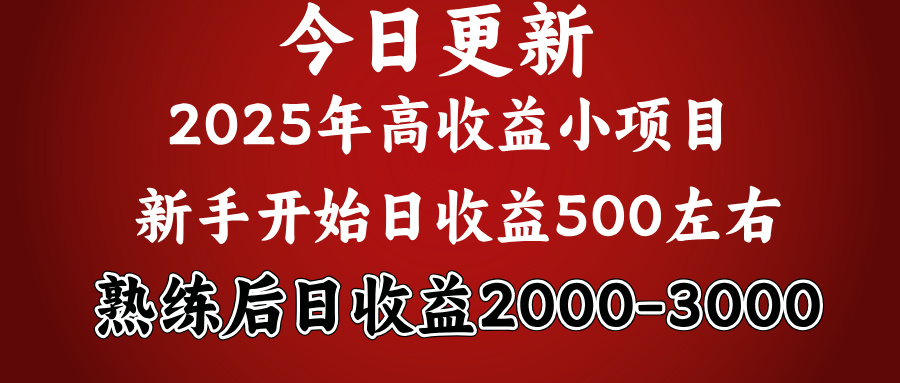 2025开年好项目，新手日收益500+ 熟练掌握后，日收益平均2000多-春生副业网 