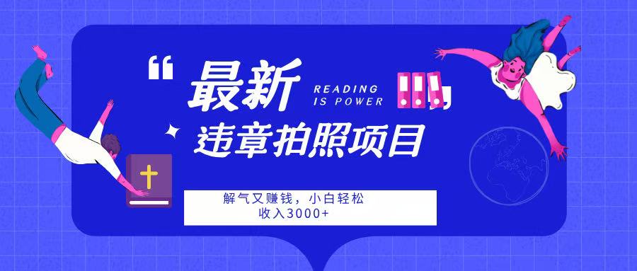 最新违章拍照项目，解气又赚钱，随手一拍，轻松收入3000-春生副业网 