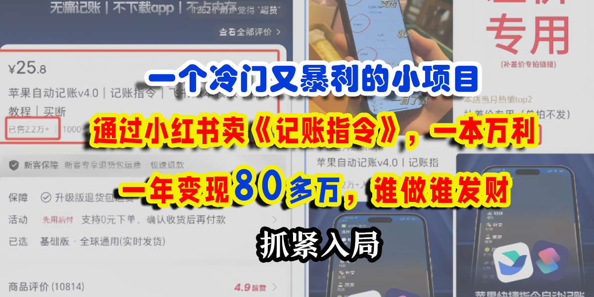 一个冷门又暴利的小项目,通过小红书卖《记账指令》,一本万利,一年变现80多万,谁做谁发财-春生副业网