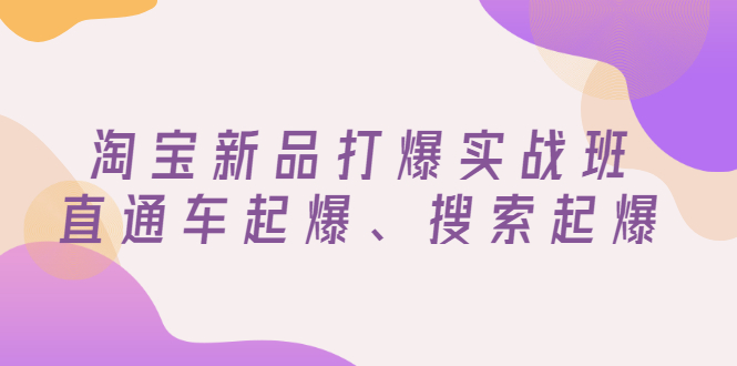 【副业项目3372期】淘宝新品打爆实战班（淘宝店铺如何增加流量和访客）-春生副业网 