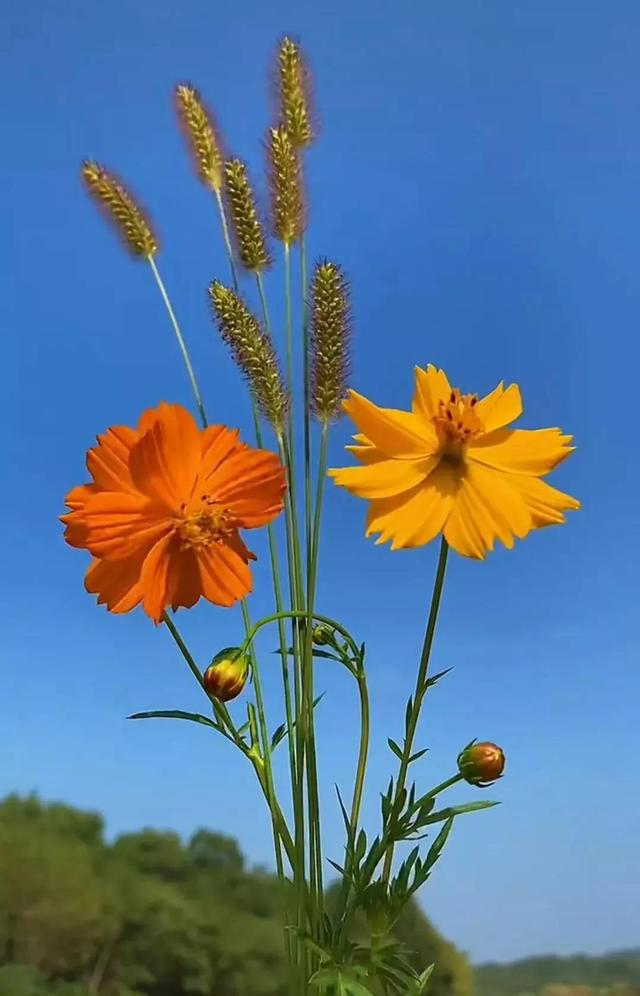 兼职刷单被骗的经历(兼职刷单是如何骗人的)-春生副业网