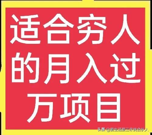 适合农村人做的赚钱项目（在农村做什么项目好）-春生副业网 