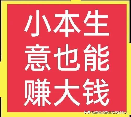 2022年投资小利润高的小生意，失业后做什么小本生意好-春生副业网 