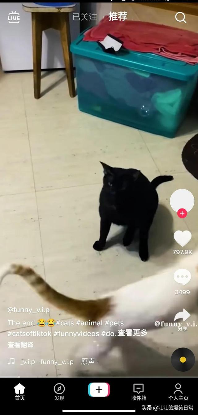 如何使用海外版抖音（国内怎样使用tiktok）-春生副业网 
