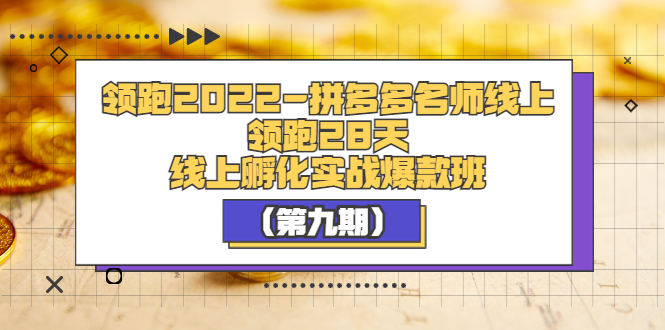 【副业项目3821期】拼多多名师线上领跑28天，拼多多线上孵化实操爆款班（第九期）-春生副业网 