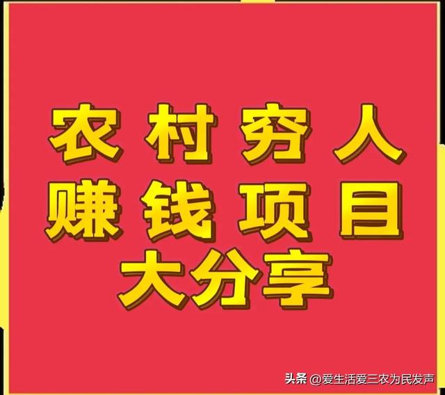 穷人怎么赚钱最快（适合农村穷人创业的项目）-春生副业网 