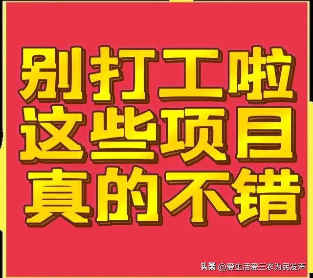 比打工强的小生意，农村小项目有哪些-春生副业网 