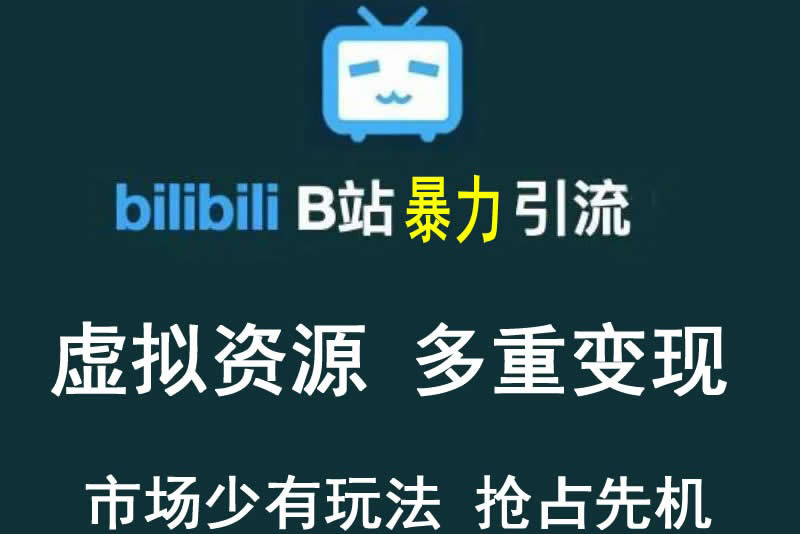 【副业项目3871期】虚拟资源引流方案：B站暴力引流 ，多重变现法-春生副业网 