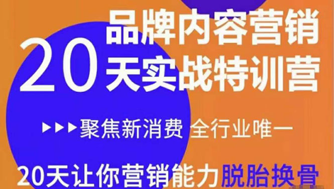 【副业项目3899期】《内容营销实操特训营》20天让你营销能力脱胎换骨（价值3999）-春生副业网 
