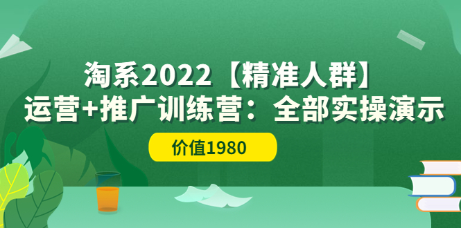 【副业项目3941期】淘系2022【精准人群】运营+推广训练营：全部实操演示-春生副业网 