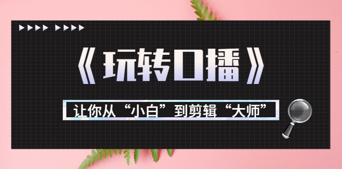 【副业项目3987期】月营业额700万+大佬教您《玩转口播》让你从“小白”到剪辑“大师”-春生副业网 