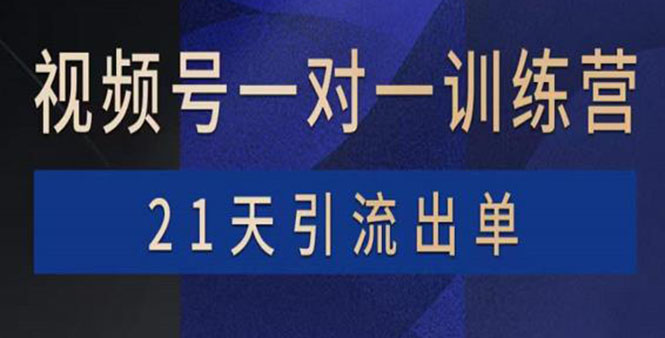 【副业项目4068期】视频号训练营：带货，涨粉，直播，游戏，四大变现新方向，21天引流出单-春生副业网 