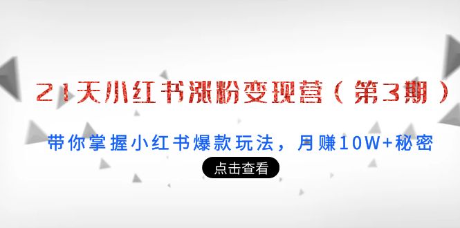 【副业项目4158期】21天小红书涨粉变现营（第3期）：带你掌握小红书爆款玩法，月赚10W+秘密-春生副业网 