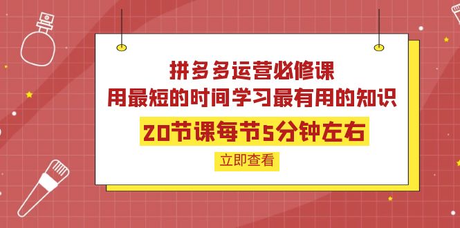 【副业项目4189期】拼多多运营必修课：20节课每节5分钟左右，用最短的时间学习最有用的知识-春生副业网 