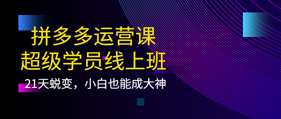 【副业项目4260期】拼多多运营课：超级学员线上班，21天蜕变，小白也能成大神-春生副业网 