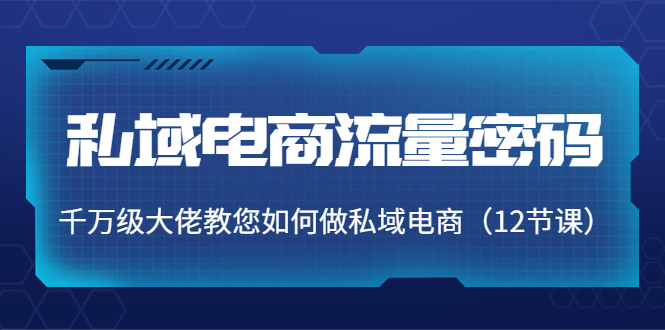 【副业项目4297期】私域电商流量密码：千万级大佬教您如何做私域电商（12节课）-春生副业网 