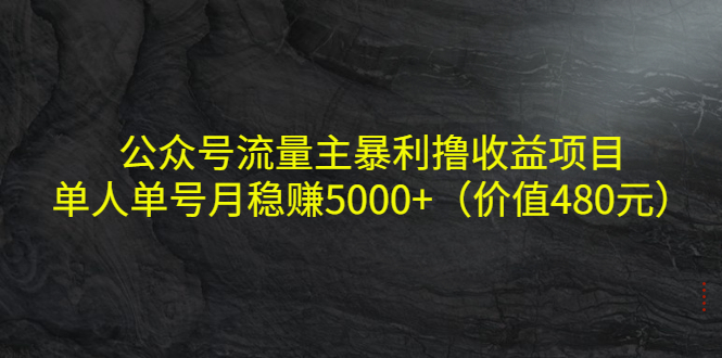 【副业项目4325期】公众号流量主暴利撸收益项目，单人单号月稳赚5000+（价值480元-春生副业网 