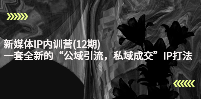 【副业项目4405期】新媒体IP内训营(12期)：一套全新的“公域引流，私域成交”IP打法，直接带走-春生副业网 