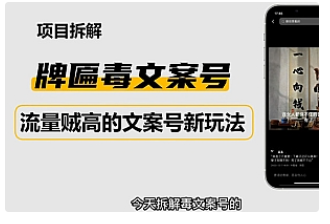 【副业项目4912期】2023抖音快手毒文案新玩法，牌匾文案号，起号快易变现-春生副业网 