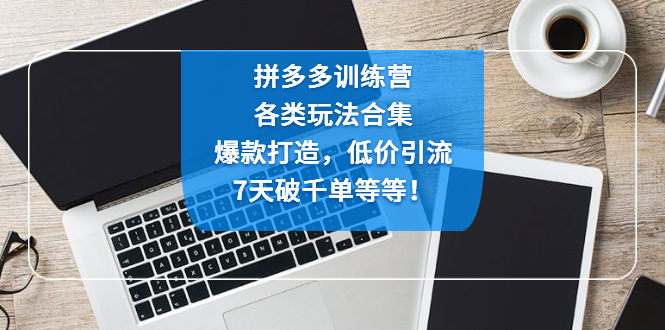 【副业项目4925期】拼多多训练营：各玩法合集，爆款打造，低价引流，7天破千单等等-春生副业网 
