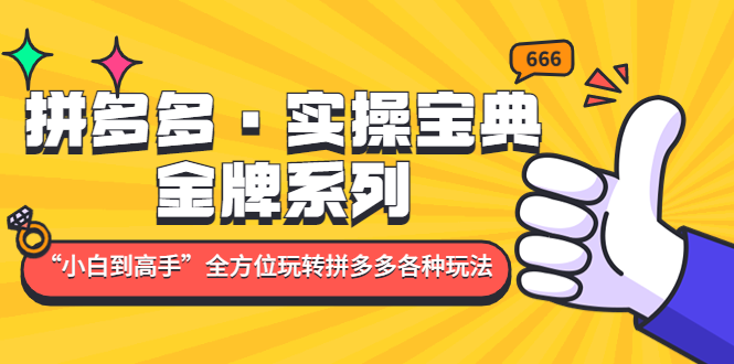 【副业项目5130期】拼多多·实操宝典：金牌系列“小白到高手”带你全方位玩转拼多多各种玩法-春生副业网 