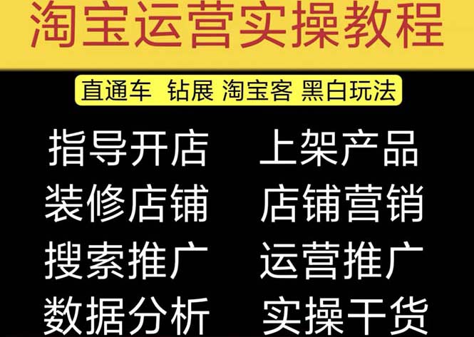 【副业项目5247期】2023淘宝开店教程0基础到高级全套视频网店电商运营培训教学课程（2月更新）-春生副业网 