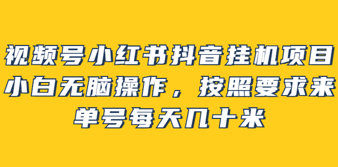 【副业项目2904期】视频号小红书抖音挂机项目，小白无脑操作，按照要求来，单号每天几十米-春生副业网 