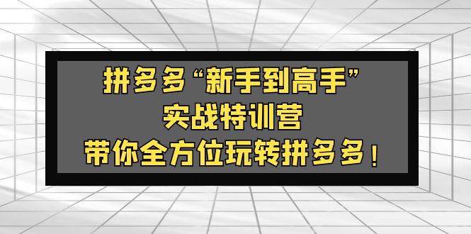 【副业项目5317期】拼多多“新手到高手”实战特训营：带你全方位玩转拼多多-春生副业网 