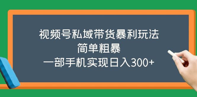 【副业项目5627期】视频号私域带货暴利玩法，简单粗暴，一部手机实现日入300+-春生副业网 