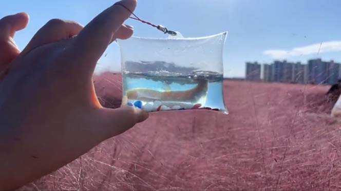 【副业项目5502期】最近抖音很火的泡泡鱼手工小成本地摊创业项目,日賺500+项目课程解析插图4 【副业项目5502期】最近抖音很火的泡泡鱼手工小成本地摊创业项目,日賺500+项目课程解析插图4