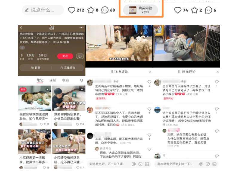 【副业项目5898期】小红书蓝海类赛道：小动物打赏与购买变现副业项目，一条龙玩法分享给你！-春生副业网 