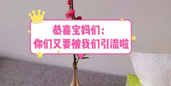 【副业项目5918期】恭喜宝妈们：你们又要被我们引流了（教程+222g资料）-春生副业网 