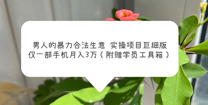 【副业项目5982期】男人的暴力合法生意实操项目巨细版：仅一部手机月入3w（附赠学员工具箱）-春生副业网 