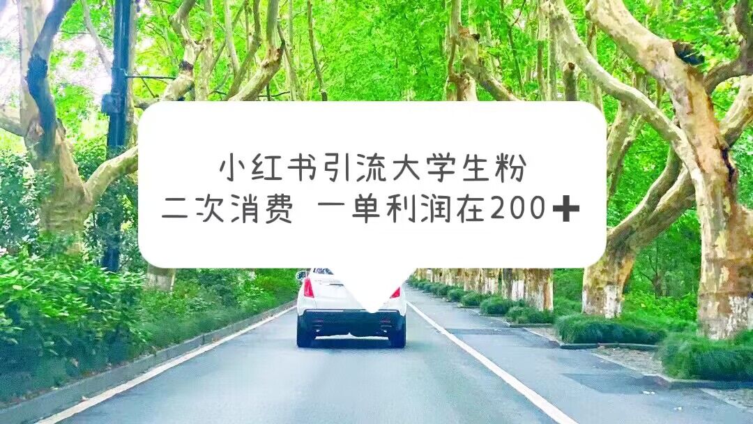【副业项目5937期】小红书引流大学生粉，变现项目，一单利润在200+（教程+资源）-春生副业网 