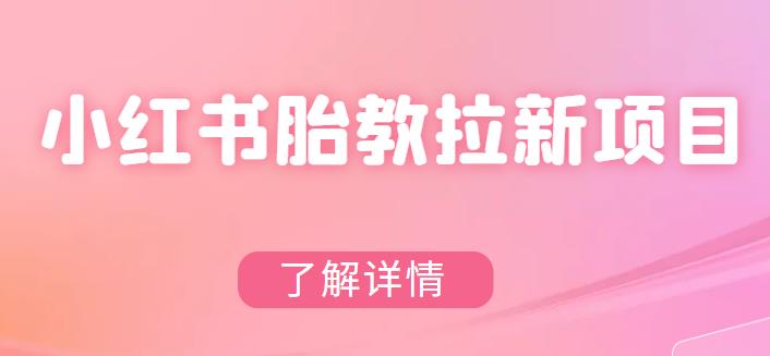 【副业项目6099期】小红书胎教网盘拉新项目，可在私域变现两次（作品制作教程+素材）-春生副业网 