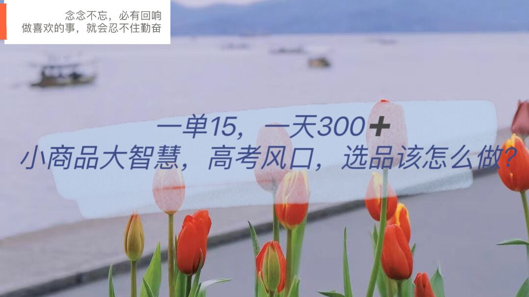 【副业项目6119期】一单15,一天300+,小商品大智慧,高考风口,选品该怎么布局-春生副业网