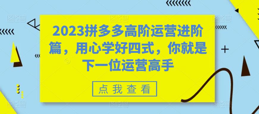 【副业项目6241期】2023拼多多高阶运营进阶篇，用心学好四式，你就是下一位运营高手-春生副业网 