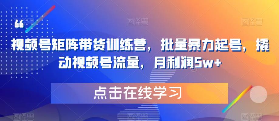 【副业项目6254期】视频号矩阵带货训练营，批量暴力起号，撬动视频号流量，月利润5w+-春生副业网 