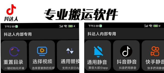 【副业项目6743期】对外收费699抖音傻瓜式一键搬运，起号专用5分钟一个视频《软件+详细教程》-春生副业网 