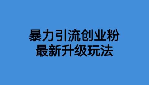 【副业项目6372期】价值1980一千个野路子暴力引流最新升级玩法【揭秘】-春生副业网 