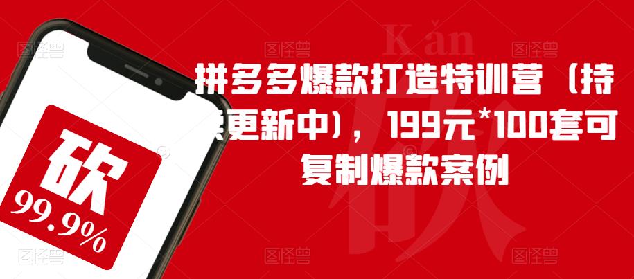 【副业项目6391期】拼多多爆款打造特训营（持续更新中)，199元*100套可复制爆款案例-春生副业网 
