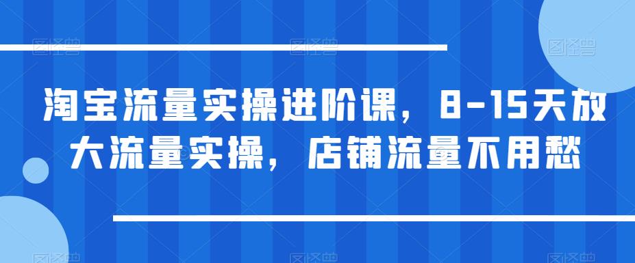 【副业项目6415期】淘宝流量实操进阶课，8-15天放大流量实操，店铺流量不用愁-春生副业网 