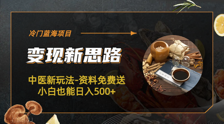 【副业项目6563期】冷门蓝海项目-中医新玩法-资料免费送小白也能日入500+-春生副业网 